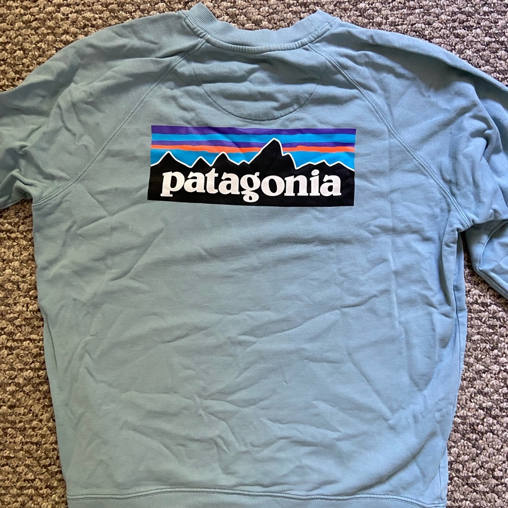 Baby blue Patagonia sweatshirt